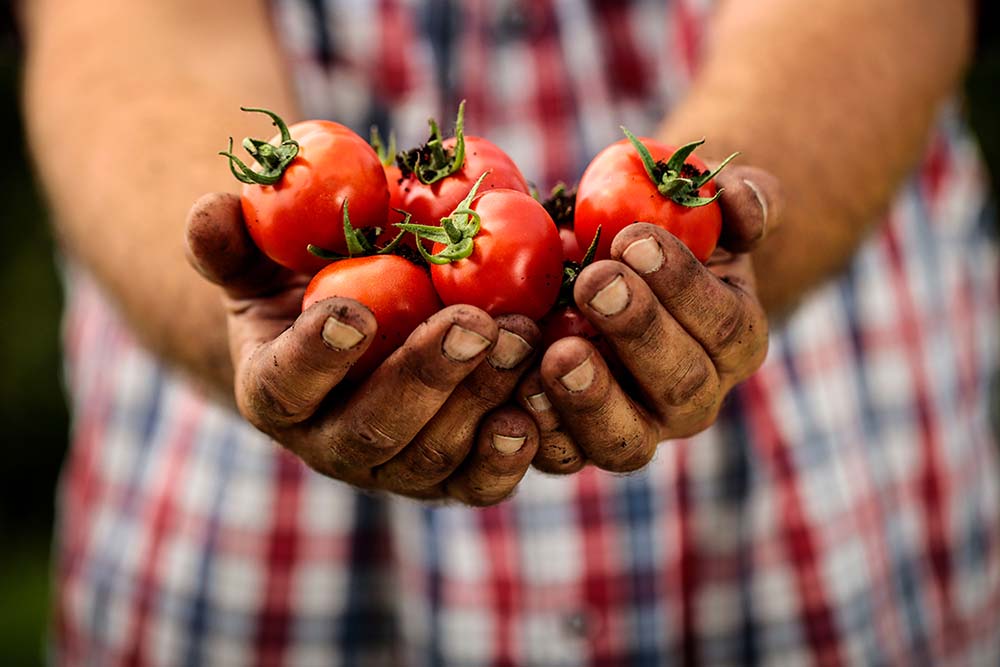 Elior’s Forward Food Pledge commits to increasing plant-based foods on menus.
